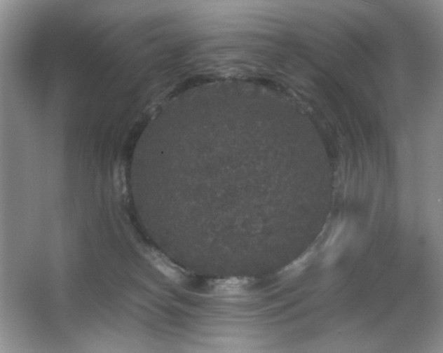 X0000067500182200604071236