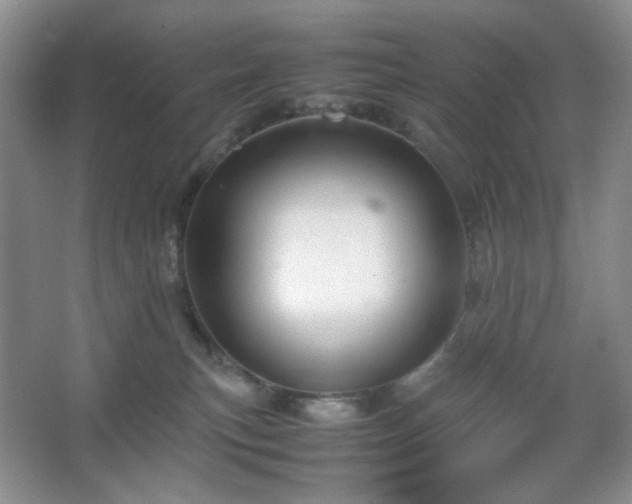 X0000067500183200604071236