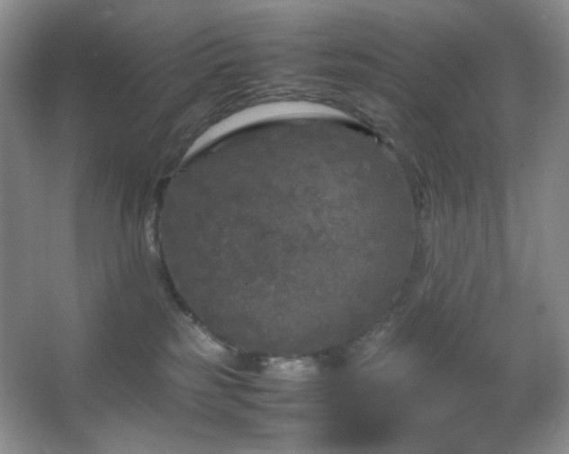 X0000067500185200604071236