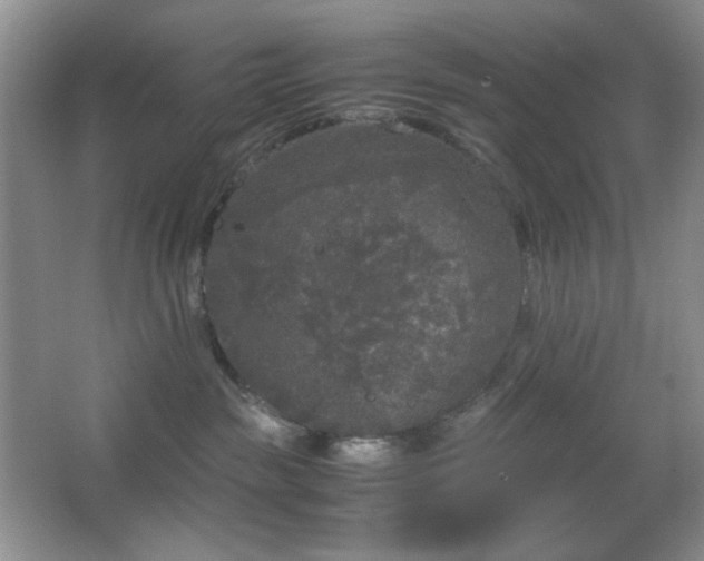 X0000067500189200604071236