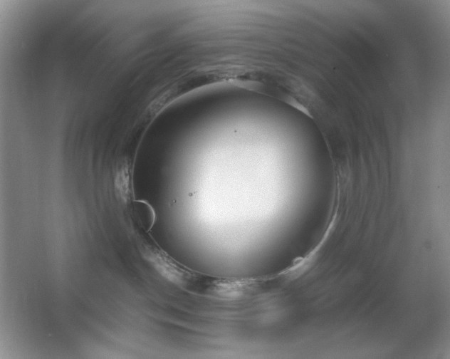 X0000067500190200604071236