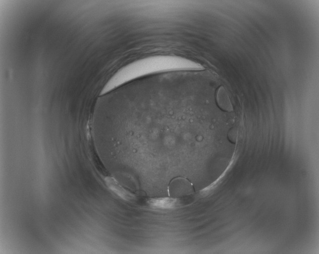 X0000067500191200604071236