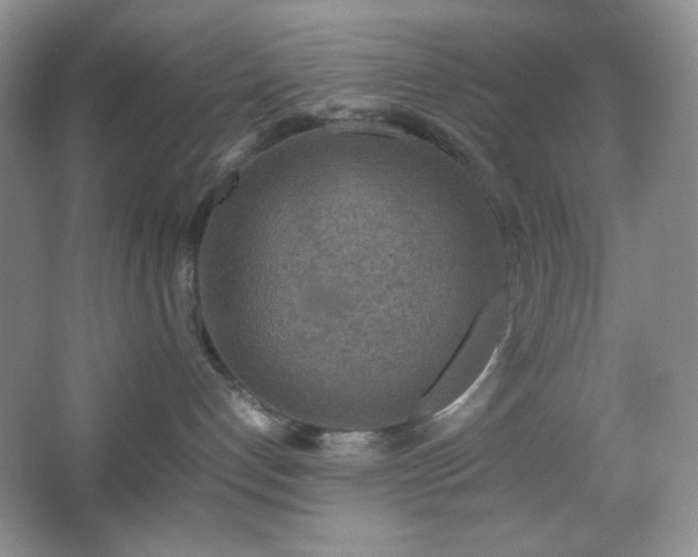 X0000067500192200604071236