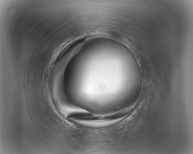 X0000067500193200604071235