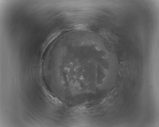 X0000067500194200604071235