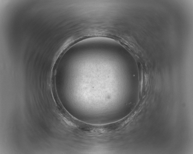 X0000067500195200604071235