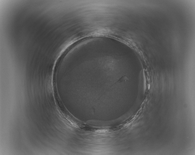 X0000067500196200604071235