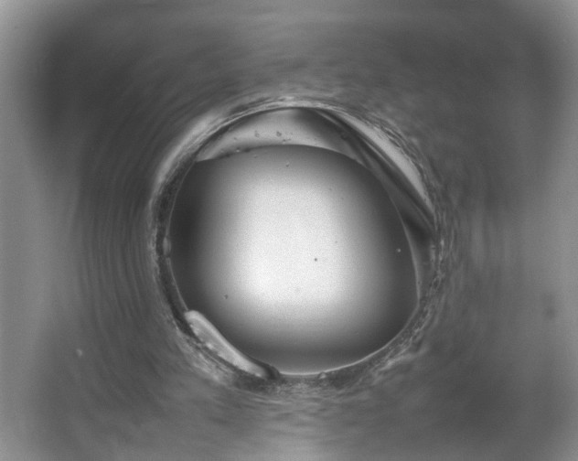 X0000067500197200604071235