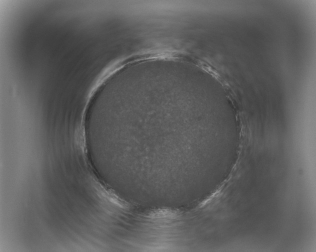 X0000067500198200604071235