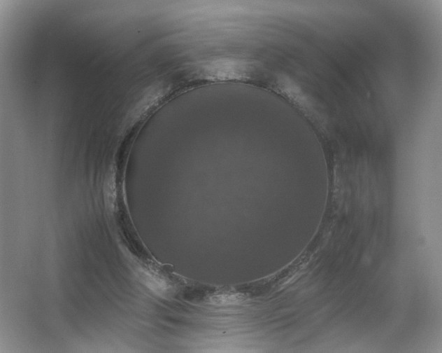 X0000067500202200604071235