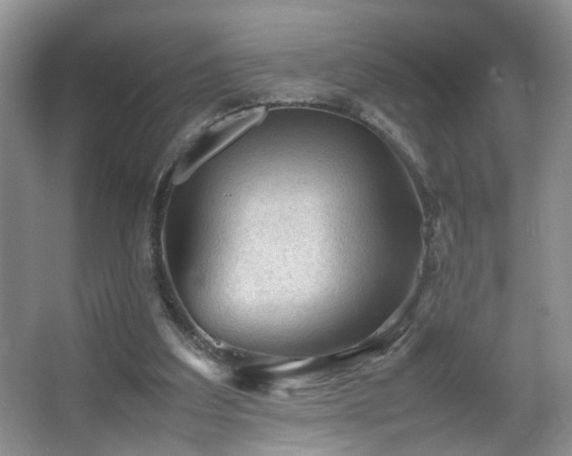 X0000067500203200604071235