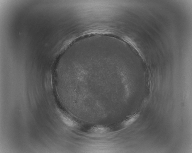 X0000067500205200604071235