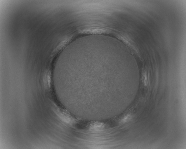 X0000067500206200604071235