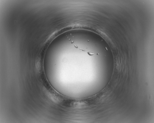 X0000067500208200604071235