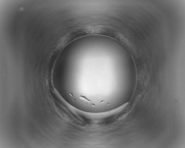 X0000067500209200604071235