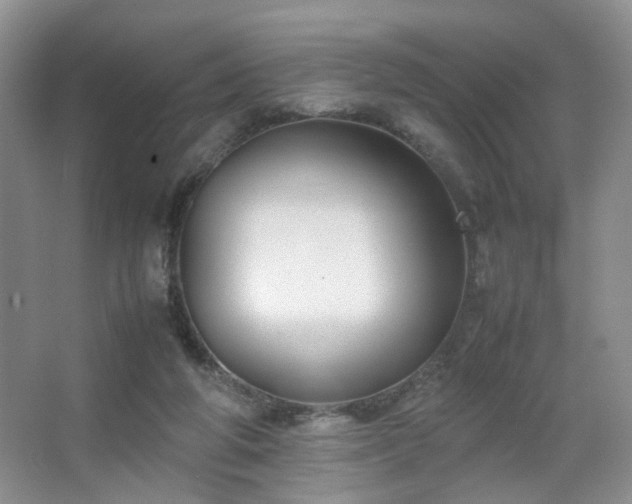 X0000067500210200604071235