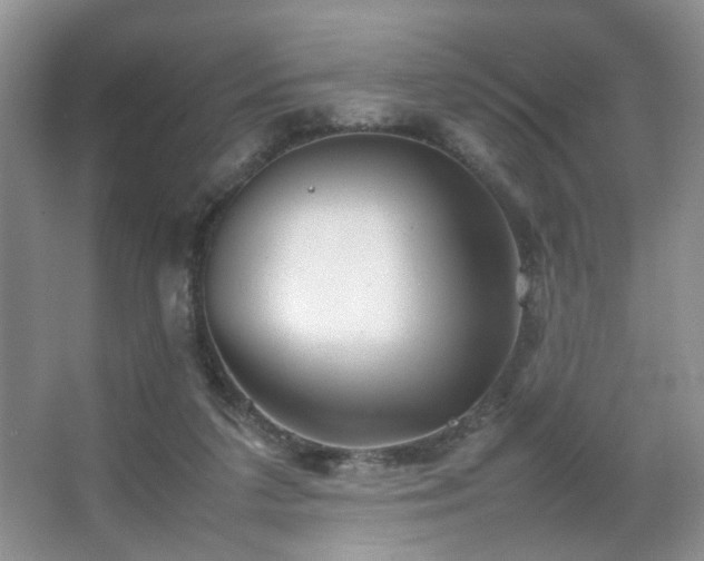 X0000067500211200604071235