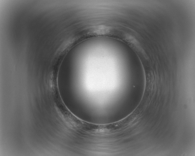 X0000067500212200604071235