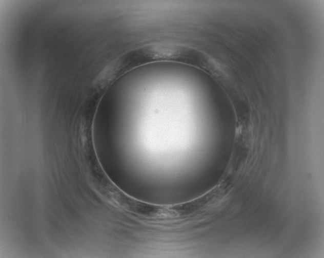 X0000067500215200604071235