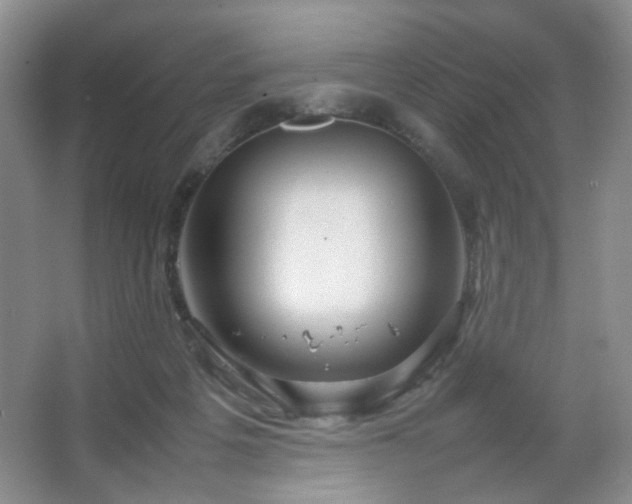 X0000067500217200604071235