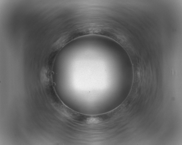 X0000067500218200604071235