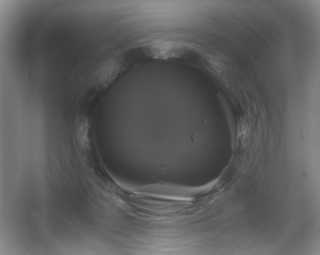 X0000067500219200604071235