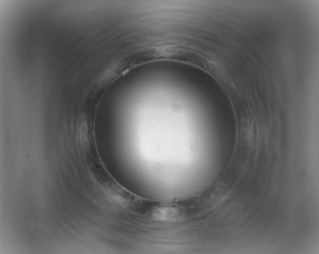 X0000067500220200604071234