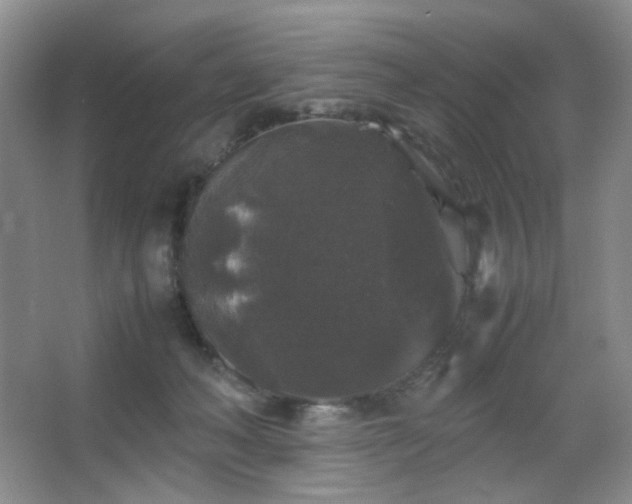 X0000067500222200604071234