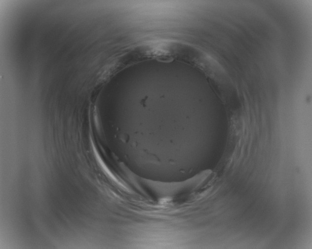 X0000067500223200604071234