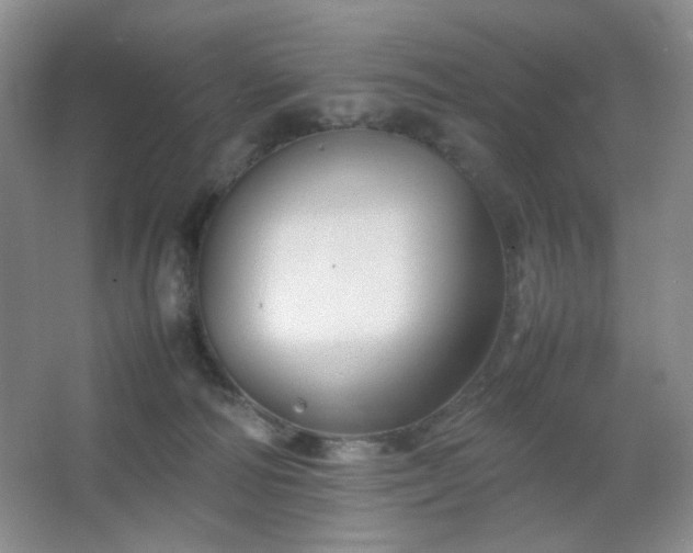 X0000067500226200604071234