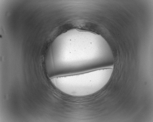 X0000067500229200604071234