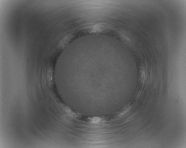 X0000067500230200604071234