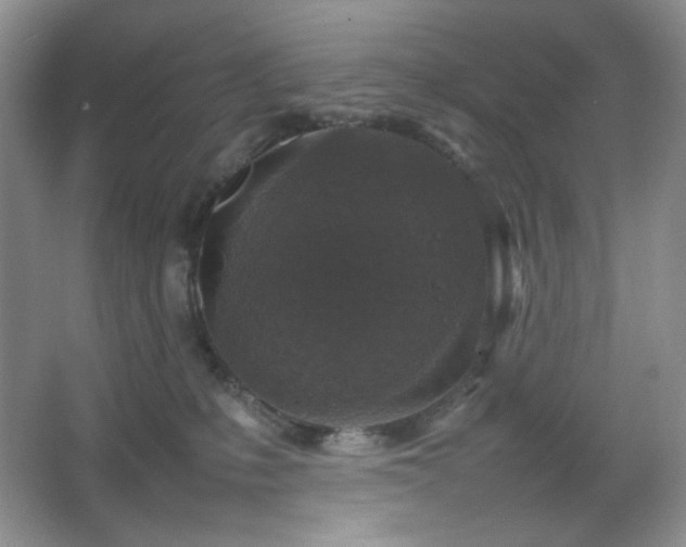 X0000067500231200604071234