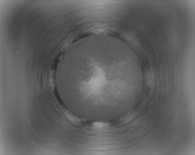 X0000067500234200604071234