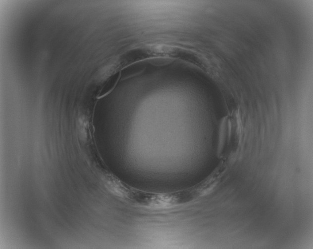 X0000067500235200604071234