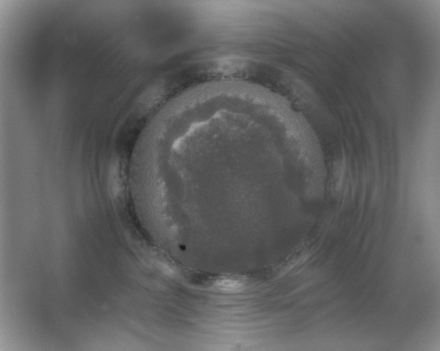 X0000067500236200604071234