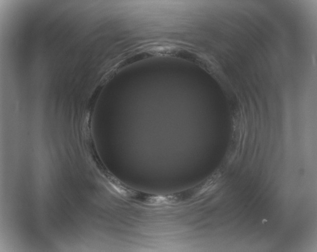 X0000067500239200604071234