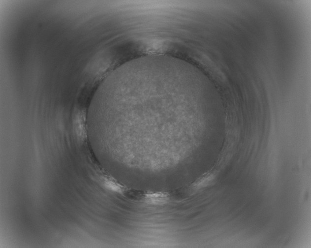 X0000067500240200604071234