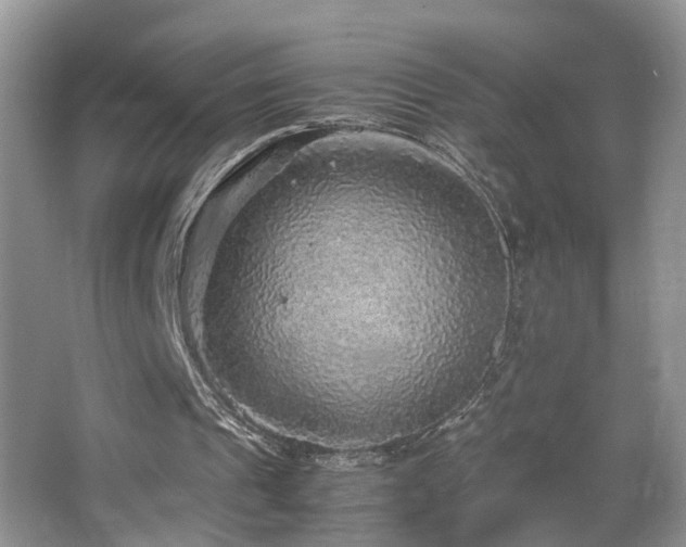 X0000067500241200604071233