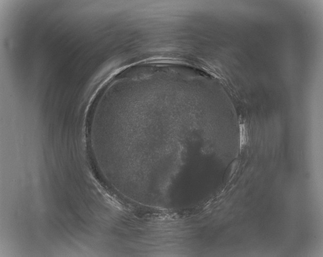 X0000067500243200604071233