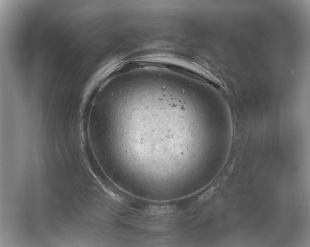 X0000067500245200604071233