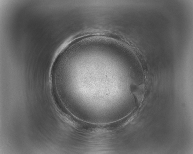 X0000067500246200604071233