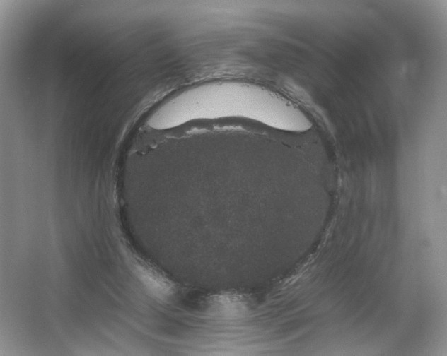 X0000067500250200604071234