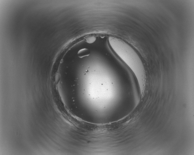 X0000067500252200604071234