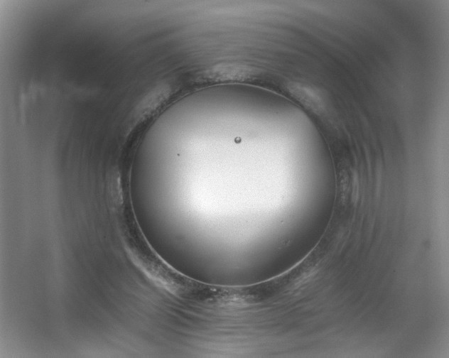 X0000067500254200604071234