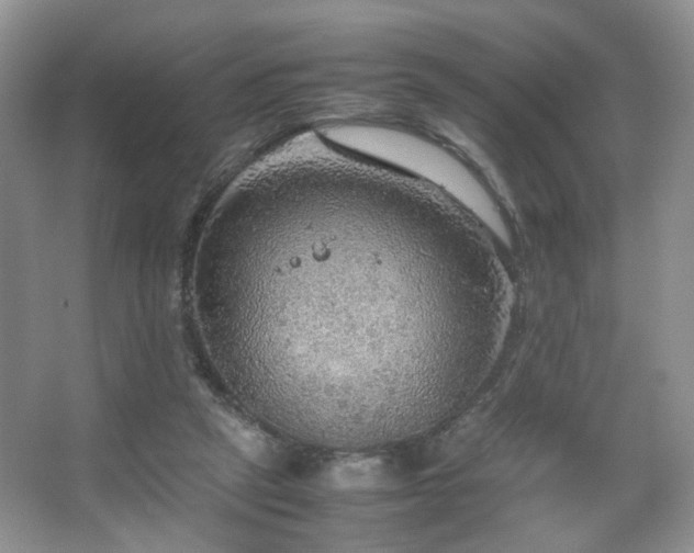 X0000067500257200604071234