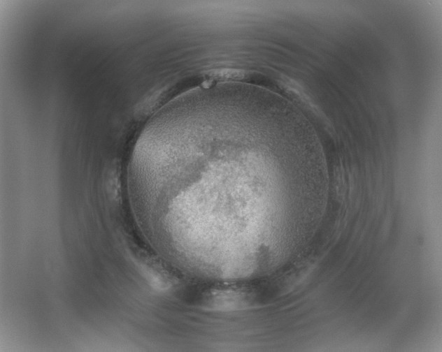 X0000067500259200604071234