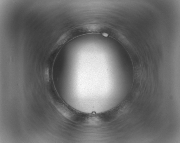 X0000067500262200604071234