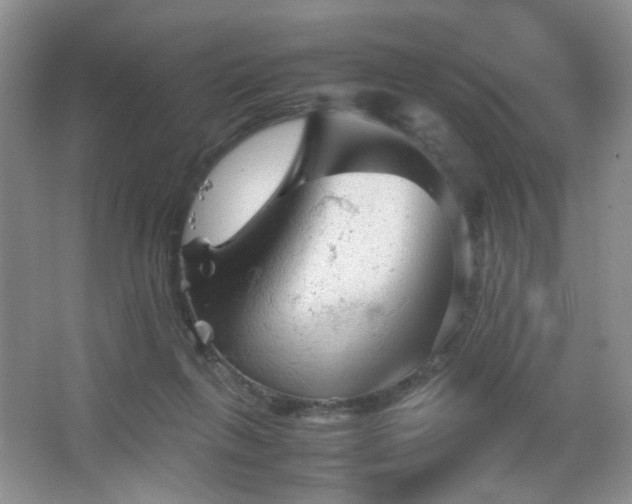 X0000067500263200604071234