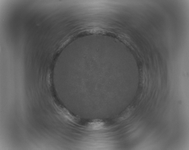 X0000067500266200604071234